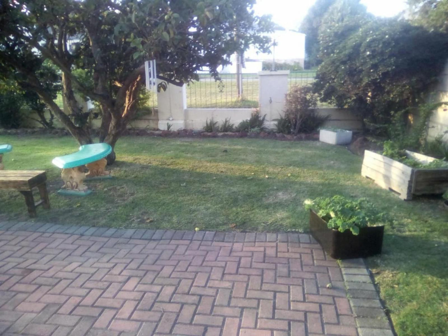 40B Overnight Accommodation Humansdorp Eastern Cape South Africa Unsaturated, Garden, Nature, Plant