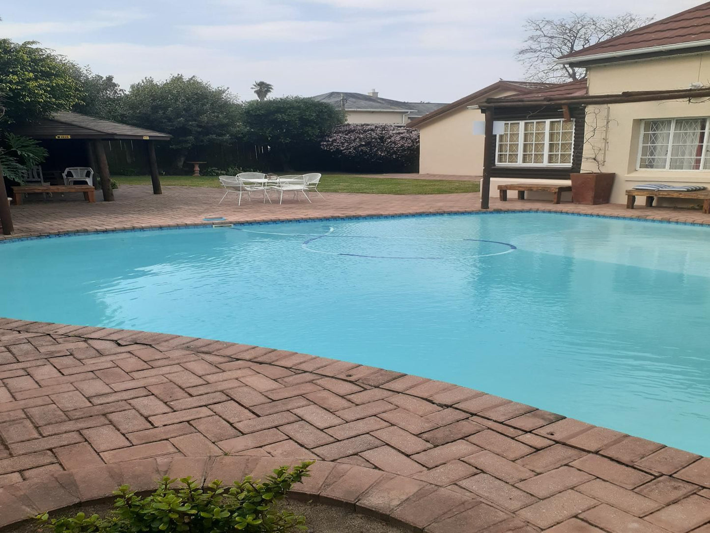 40B Overnight Accommodation Humansdorp Eastern Cape South Africa Complementary Colors, Garden, Nature, Plant, Swimming Pool
