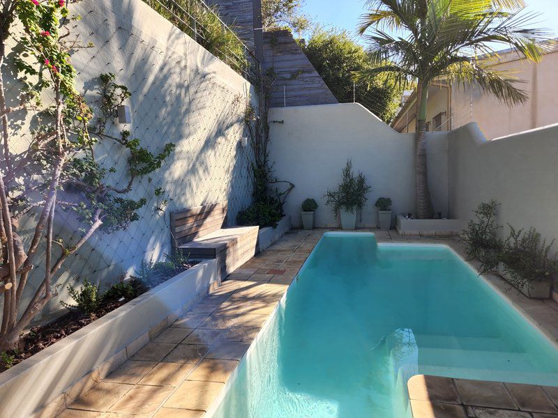 40 Napier Street De Waterkant Cape Town Western Cape South Africa House, Building, Architecture, Palm Tree, Plant, Nature, Wood, Garden, Swimming Pool