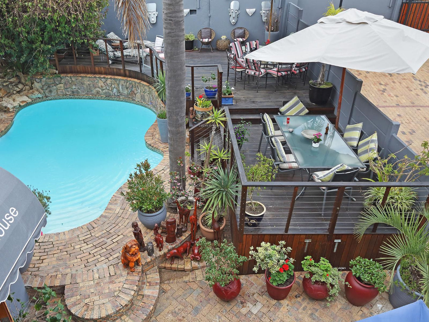 40 Winks Guest House Green Point Green Point Cape Town Western Cape South Africa Garden, Nature, Plant, Swimming Pool
