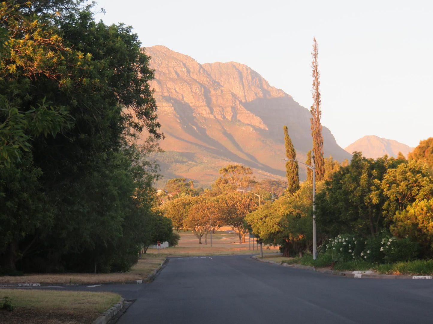 40 Winks Accommodation Somerset West Western Cape South Africa Nature, Street