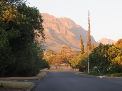 40 Winks Accommodation Somerset West Western Cape South Africa Nature, Street