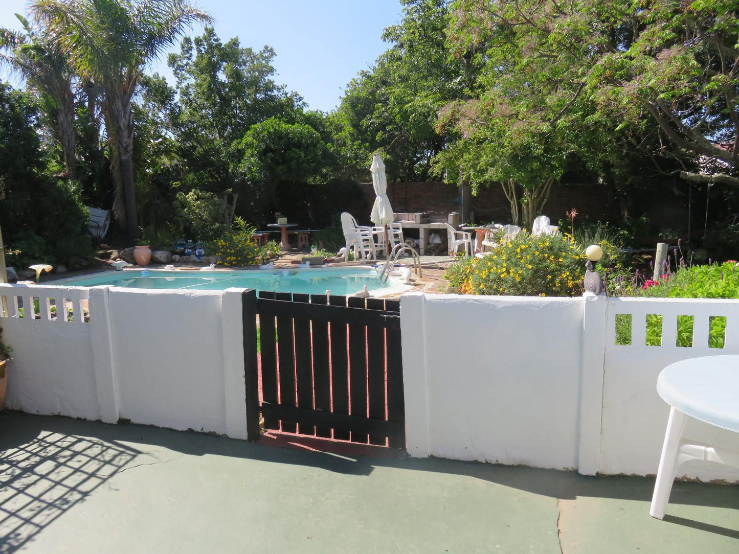 40 Winks Accommodation Somerset West Western Cape South Africa Palm Tree, Plant, Nature, Wood, Swimming Pool