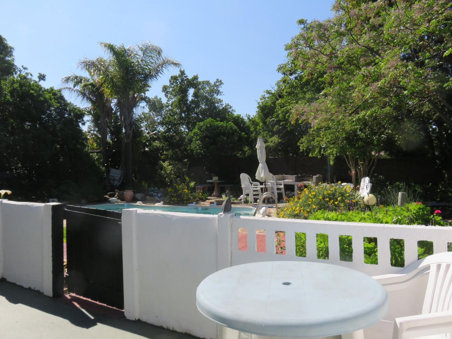 40 Winks Accommodation Somerset West Western Cape South Africa Palm Tree, Plant, Nature, Wood, Garden, Swimming Pool