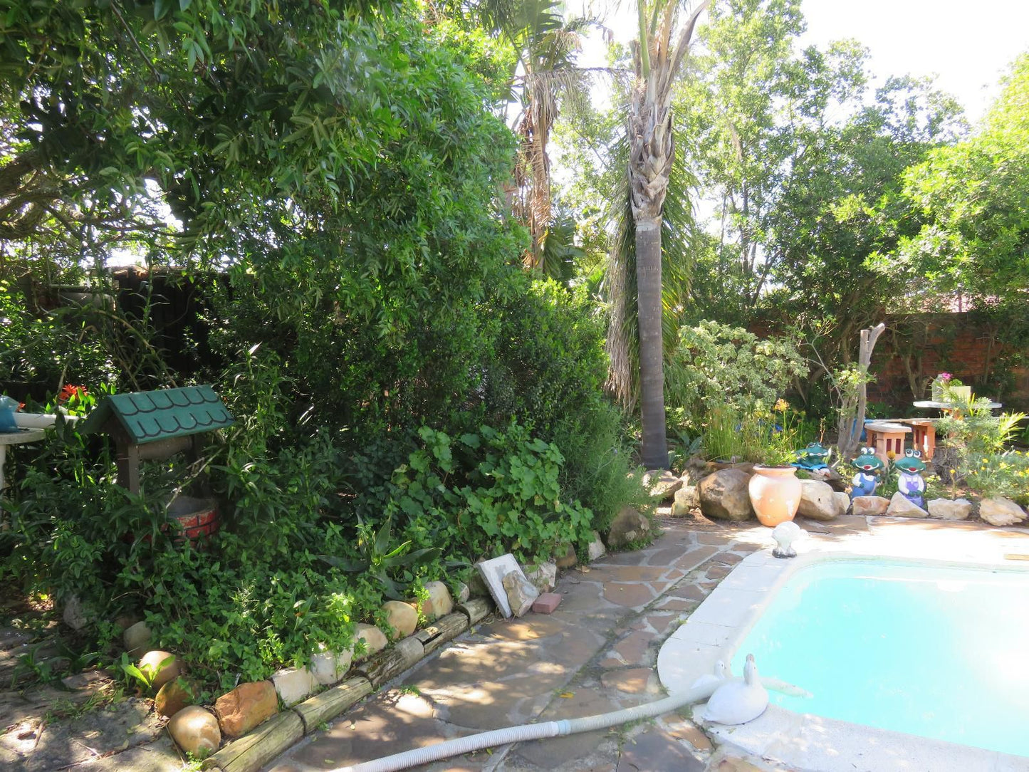 40 Winks Accommodation Somerset West Western Cape South Africa Palm Tree, Plant, Nature, Wood, Garden, Swimming Pool