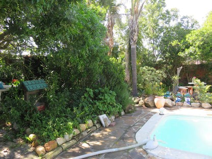 40 Winks Accommodation Somerset West Western Cape South Africa Palm Tree, Plant, Nature, Wood, Garden, Swimming Pool