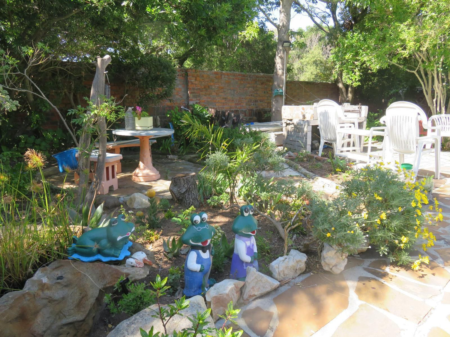 40 Winks Accommodation Somerset West Western Cape South Africa Plant, Nature, Garden