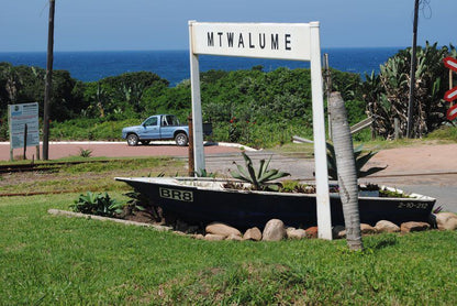 43 Sea Esta Mtwalume Kwazulu Natal South Africa Beach, Nature, Sand, Palm Tree, Plant, Wood