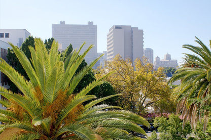 437 St Martini Gardens Cape Town City Centre Cape Town Western Cape South Africa Complementary Colors, Palm Tree, Plant, Nature, Wood, Skyscraper, Building, Architecture, City