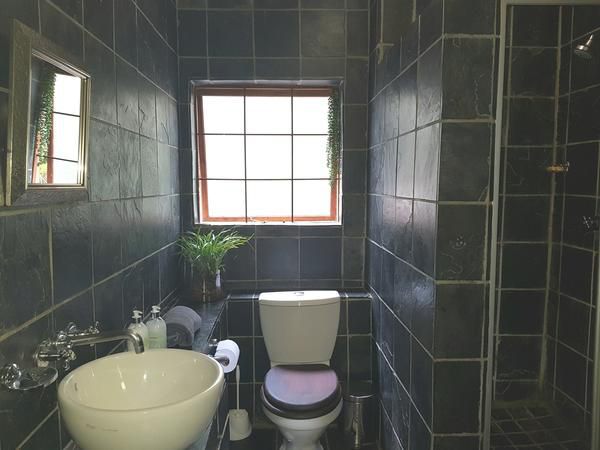 440 Brooklyn Brooklyn Pretoria Tshwane Gauteng South Africa Unsaturated, Bathroom