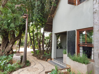 440 Brooklyn Brooklyn Pretoria Tshwane Gauteng South Africa House, Building, Architecture, Palm Tree, Plant, Nature, Wood