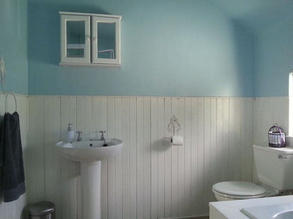 45 On Watt Gordons Bay Western Cape South Africa Unsaturated, Bathroom