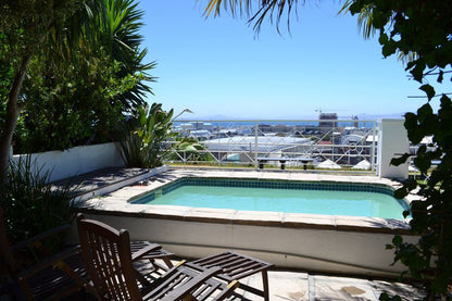 4 Bayview Terrace De Waterkant Cape Town Western Cape South Africa Beach, Nature, Sand, Palm Tree, Plant, Wood, Swimming Pool