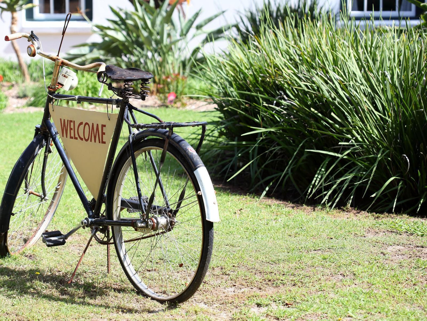 4 Heaven Guest House Somerset West Western Cape South Africa Bicycle, Vehicle, Cycling, Sport