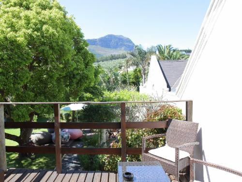 4 Heaven Guest House Somerset West Western Cape South Africa Palm Tree, Plant, Nature, Wood