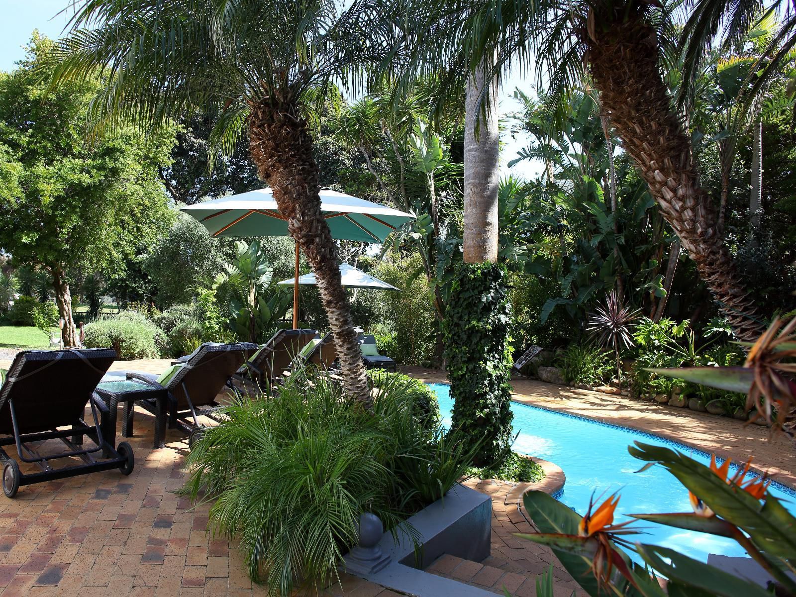 4 Heaven Guest House Somerset West Western Cape South Africa Palm Tree, Plant, Nature, Wood, Garden, Swimming Pool