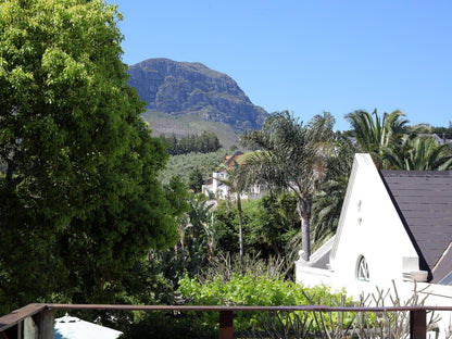 4 Heaven Guest House Somerset West Western Cape South Africa Complementary Colors, Mountain, Nature, Palm Tree, Plant, Wood
