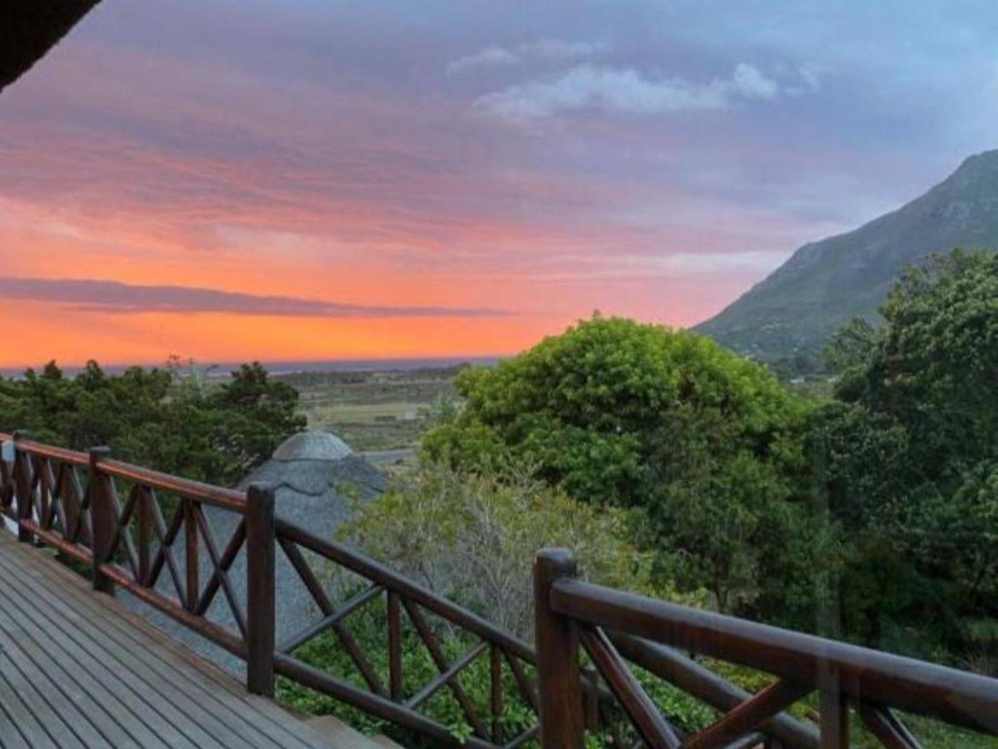 4 Wild Rose Country Lodge Noordhoek Cape Town Western Cape South Africa Mountain, Nature