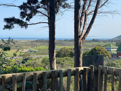 4 Wild Rose Country Lodge Noordhoek Cape Town Western Cape South Africa Beach, Nature, Sand, Framing