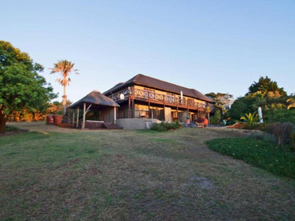 4 Wild Rose Country Lodge Noordhoek Cape Town Western Cape South Africa Palm Tree, Plant, Nature, Wood