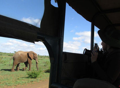 4 Night Kruger Park Safari And Activities Tour South Kruger Park Mpumalanga South Africa Elephant, Mammal, Animal, Herbivore