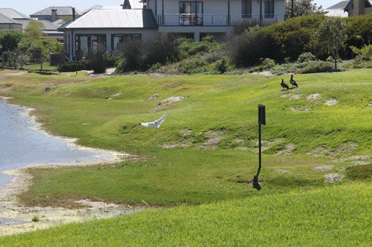 5 Rock Pool Atlantic Beach Golf Estate Cape Town Western Cape South Africa House, Building, Architecture, Golfing, Ball Game, Sport