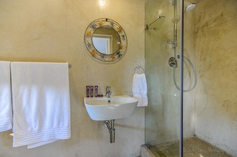 50 On Shepherd Boutique Guest House Vandia Grove Johannesburg Gauteng South Africa Bathroom