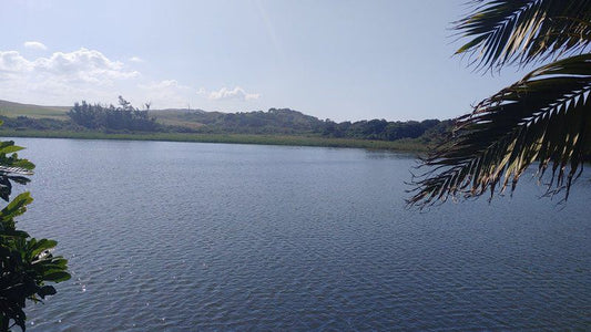 The Boat House 53 Nkwazi Drive Zinkwazi Beach Nkwazi Kwazulu Natal South Africa Boat, Vehicle, Forest, Nature, Plant, Tree, Wood, Lake, Waters, Palm Tree, River