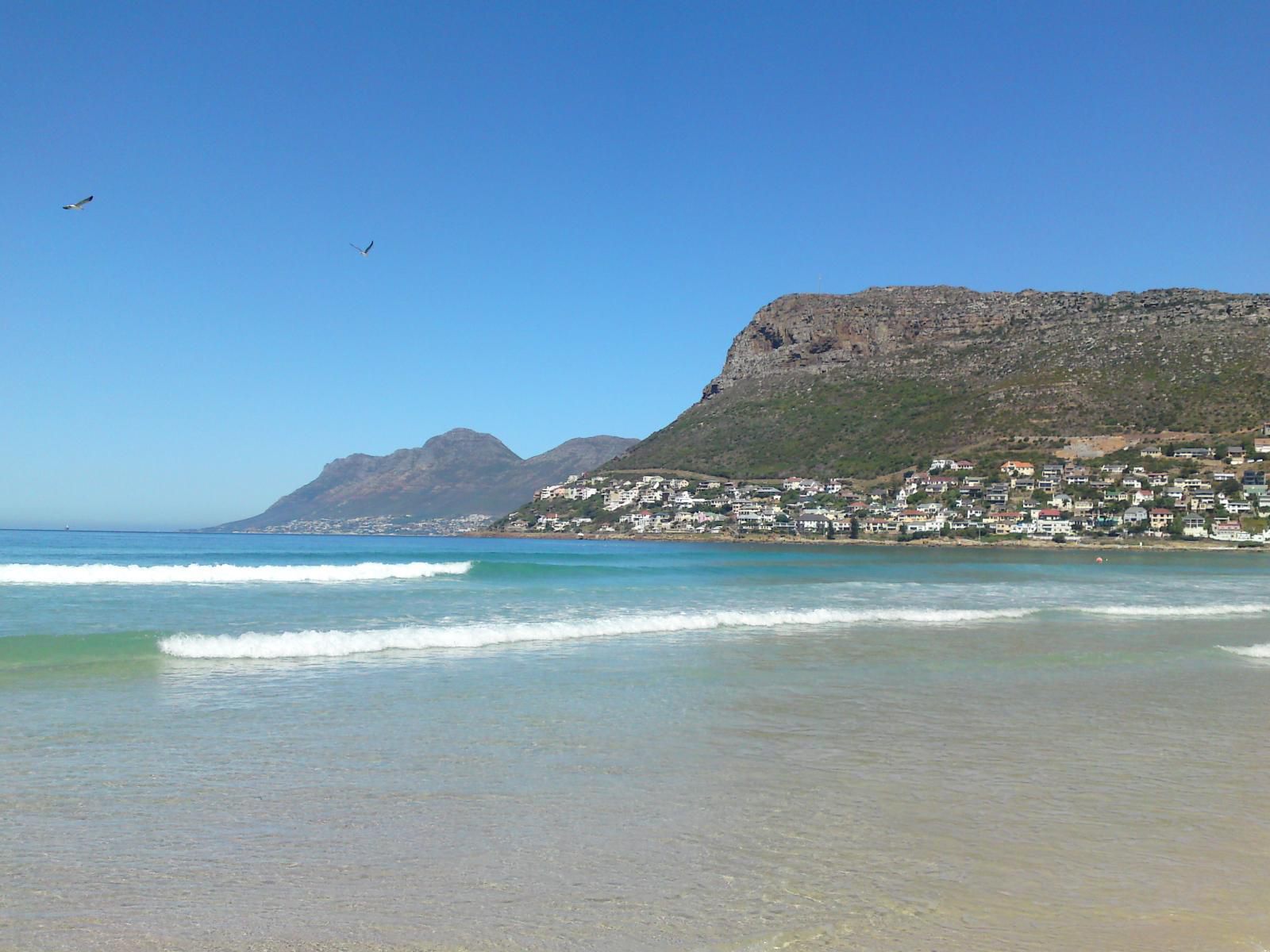 55 On Main Fish Hoek Cape Town Western Cape South Africa Beach, Nature, Sand