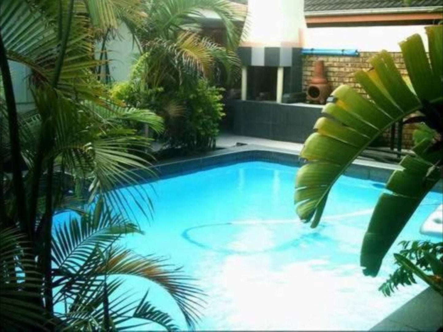 57 Pelican Street St Lucia Kwazulu Natal South Africa Palm Tree, Plant, Nature, Wood, Swimming Pool