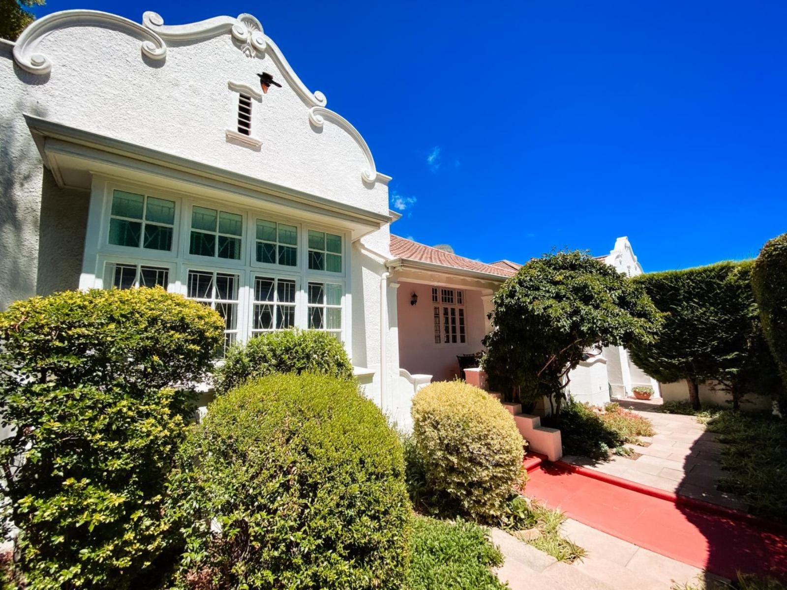 5 Camp Street Guest House And Self Catering Gardens Cape Town Western Cape South Africa Complementary Colors, House, Building, Architecture, Garden, Nature, Plant