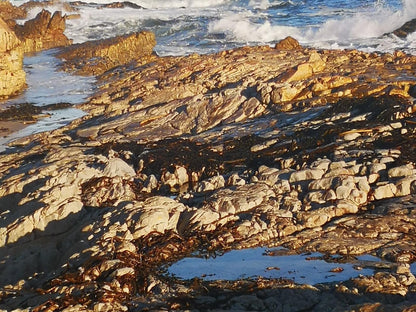 The Wild Fig Guesthouse Kleinmond Western Cape South Africa Beach, Nature, Sand, Cliff, Ocean, Waters, Stone Texture, Texture