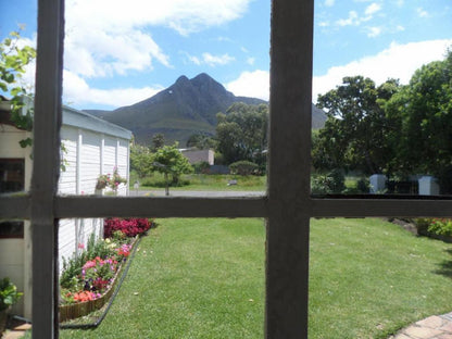 The Wild Fig Guesthouse Kleinmond Western Cape South Africa Mountain, Nature