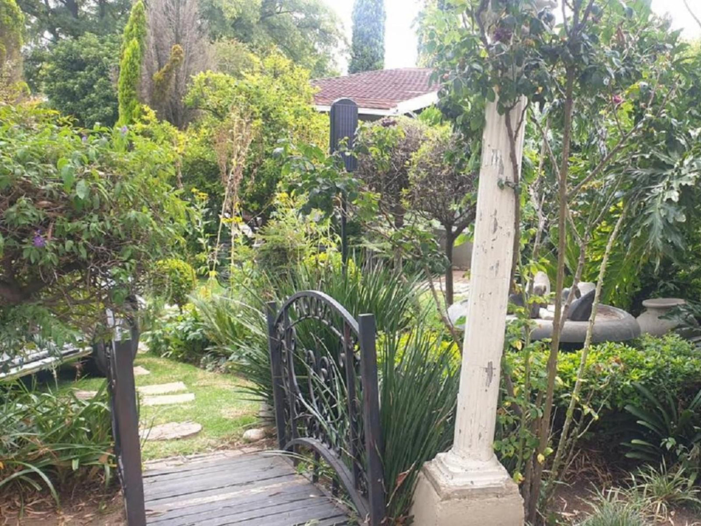 5Th Avenue Guest House Edenvale Johannesburg Gauteng South Africa Palm Tree, Plant, Nature, Wood, Garden