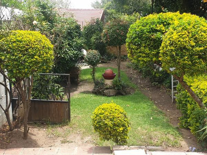 5Th Avenue Guest House Edenvale Johannesburg Gauteng South Africa Plant, Nature, Garden, Living Room