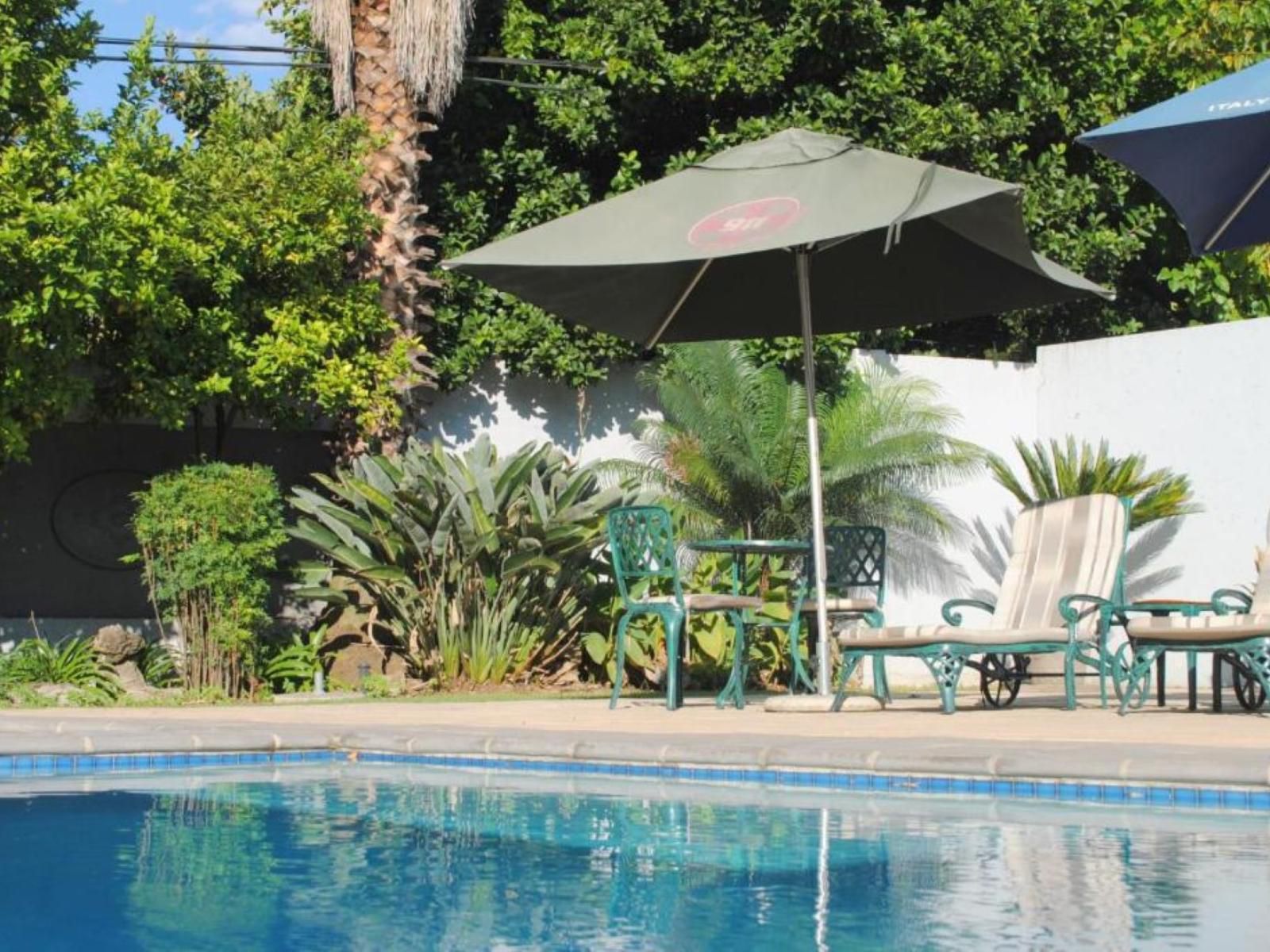 6 On Morris Guest Lodge Woodmead Johannesburg Gauteng South Africa Palm Tree, Plant, Nature, Wood, Swimming Pool