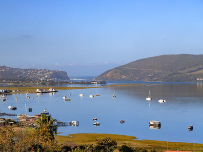 6 On Protea Paradise Knysna Western Cape South Africa Highland, Nature