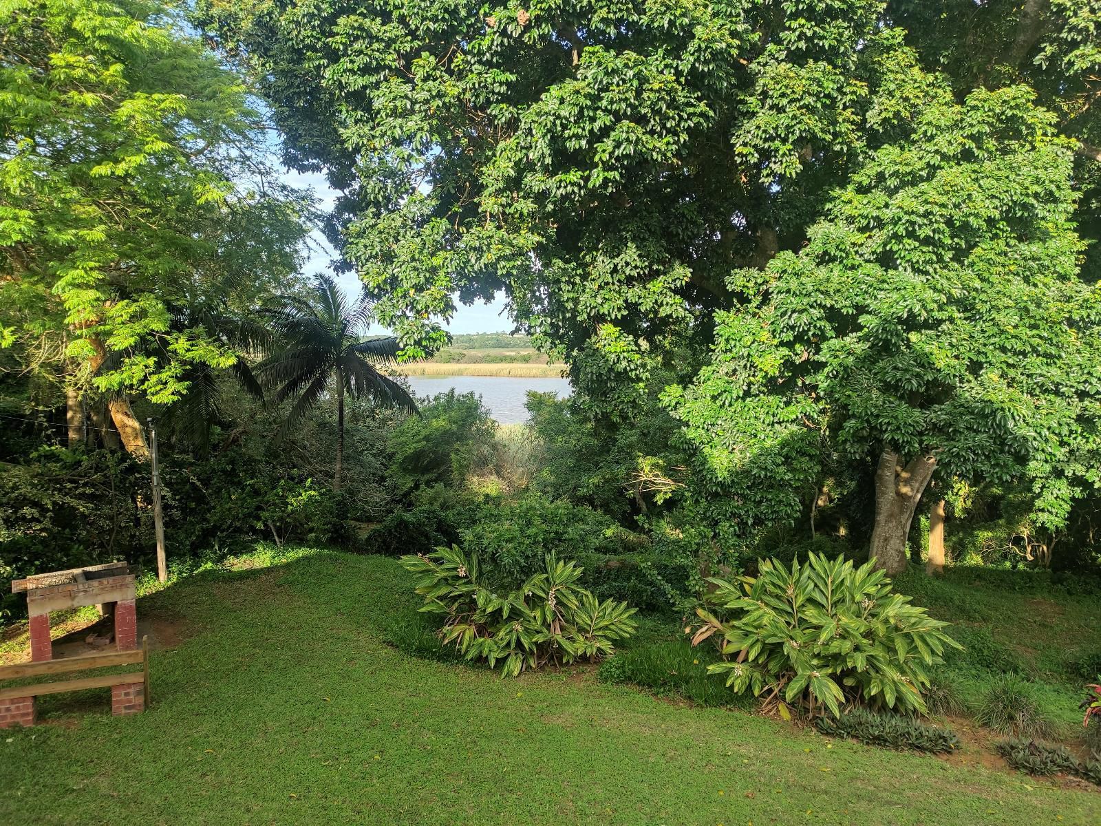 6 The Bridge St Lucia Kwazulu Natal South Africa Palm Tree, Plant, Nature, Wood, Tree, Garden