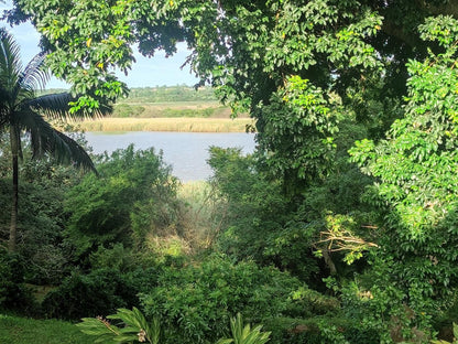 6 The Bridge St Lucia Kwazulu Natal South Africa Boat, Vehicle, River, Nature, Waters, Tree, Plant, Wood