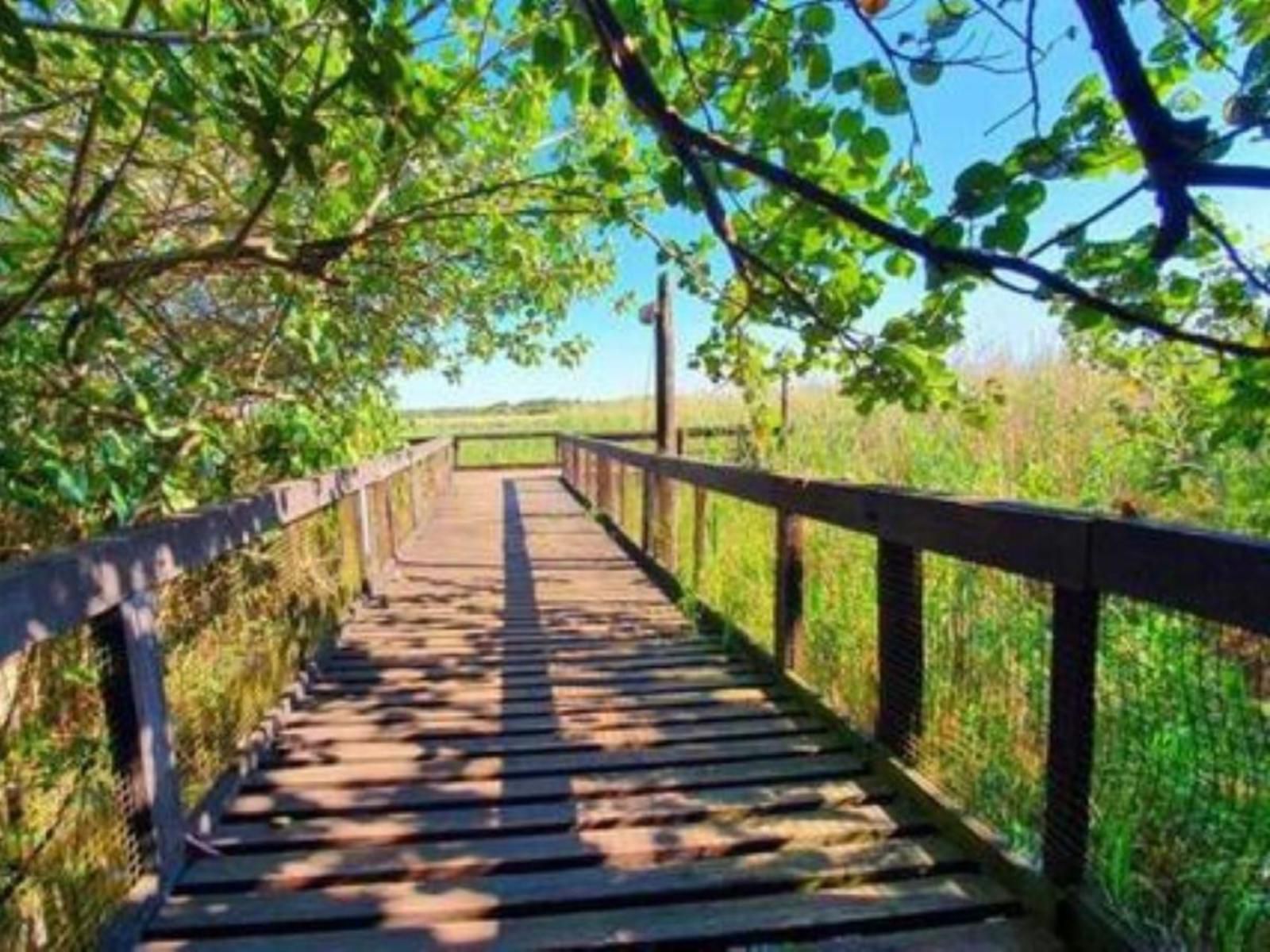 6 The Bridge St Lucia Kwazulu Natal South Africa Bridge, Architecture, Leading Lines