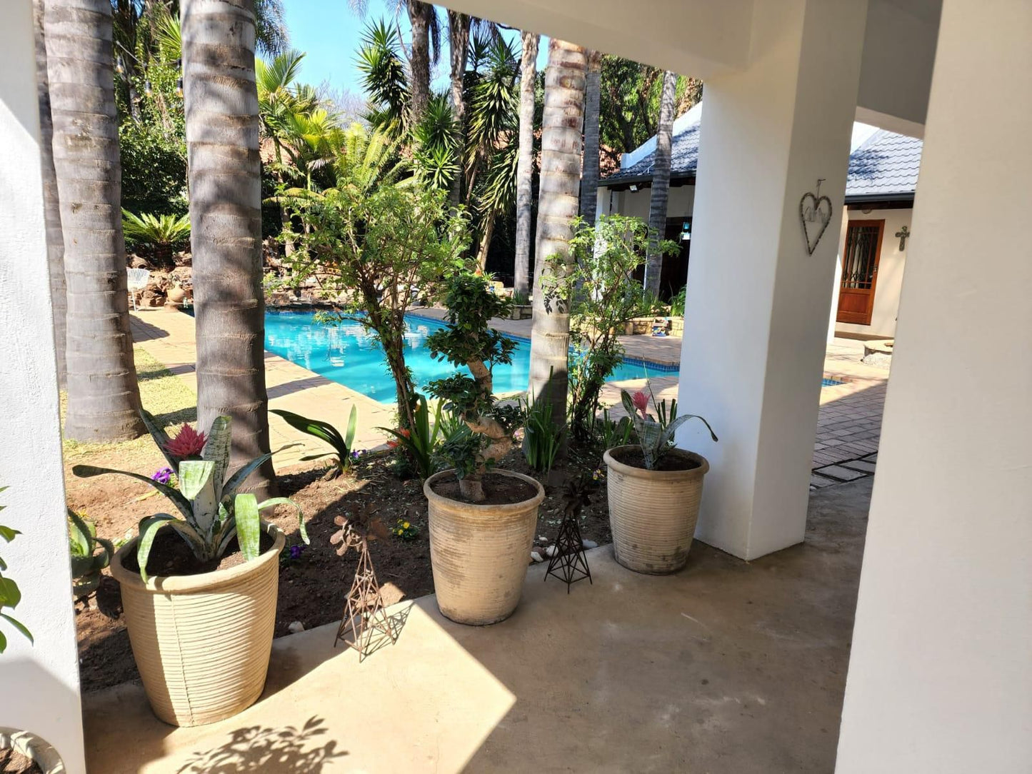 Six Valk Avenue Self Catering Guest House Fourways Johannesburg Gauteng South Africa Beach, Nature, Sand, Palm Tree, Plant, Wood