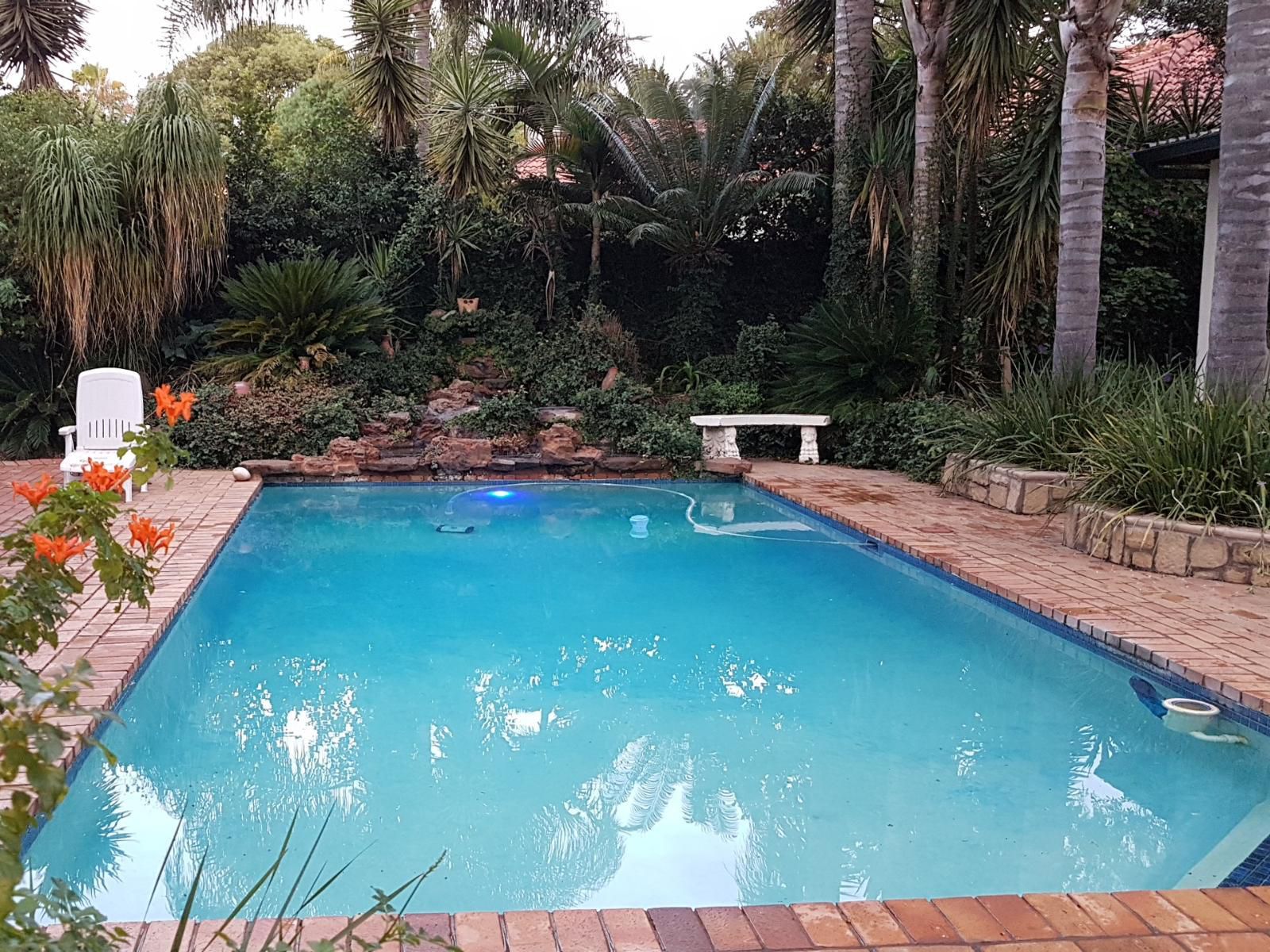 Six Valk Avenue Self Catering Guest House Fourways Johannesburg Gauteng South Africa Palm Tree, Plant, Nature, Wood, Garden, Swimming Pool