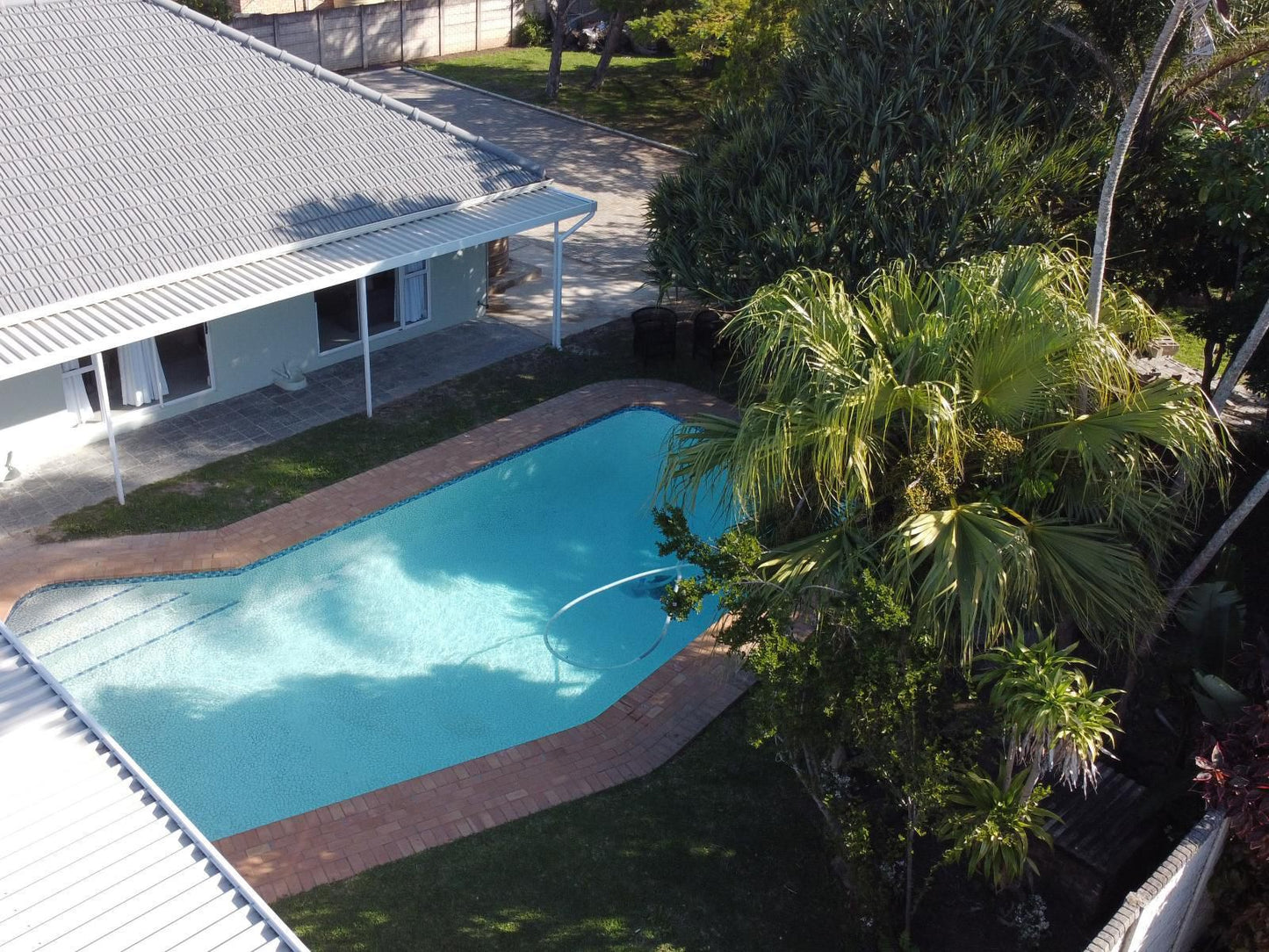 65 Pell Guest House Blue Bend East London Eastern Cape South Africa Palm Tree, Plant, Nature, Wood, Swimming Pool