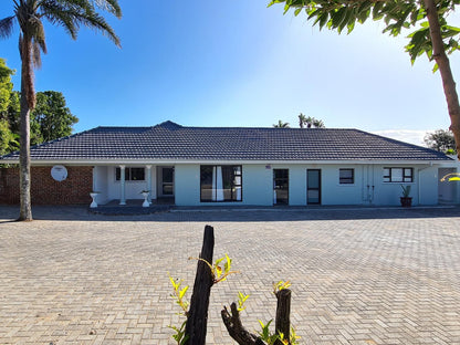 65 Pell Guest House Blue Bend East London Eastern Cape South Africa House, Building, Architecture, Palm Tree, Plant, Nature, Wood