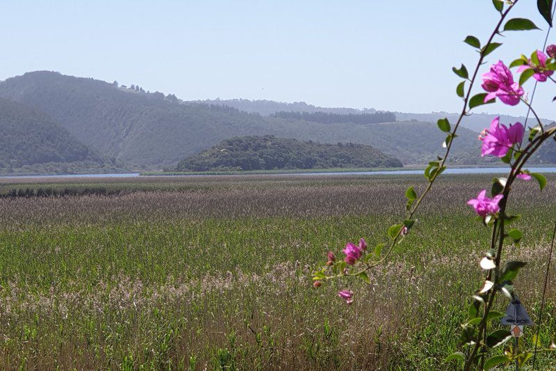 677 On Lake Wilderness Western Cape South Africa Complementary Colors, Field, Nature, Agriculture, Plant