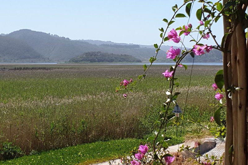 677 On Lake Wilderness Western Cape South Africa Complementary Colors, Field, Nature, Agriculture, Plant