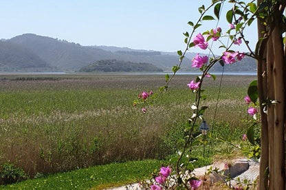 677 On Lake Wilderness Western Cape South Africa Complementary Colors, Field, Nature, Agriculture, Plant