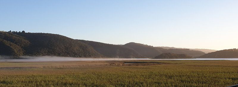 677 On Lake Wilderness Western Cape South Africa Complementary Colors, Field, Nature, Agriculture