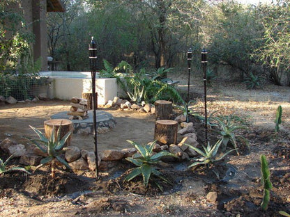677 Hornbill Marloth Park Mpumalanga South Africa Palm Tree, Plant, Nature, Wood
