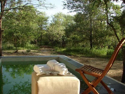 677 Hornbill Marloth Park Mpumalanga South Africa Garden, Nature, Plant, Swimming Pool